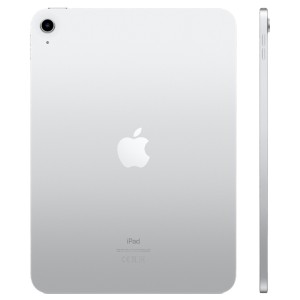 Parte trasera del iPad 10,9" 2022 gris