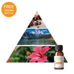 Difusor INN AROMA Powered - Tienda online iServices®
