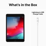 Compra el iPad Mini 2019 - Loja Online iServices®