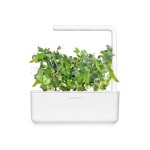 Click and Grow Kit Grow Anything - iServices®