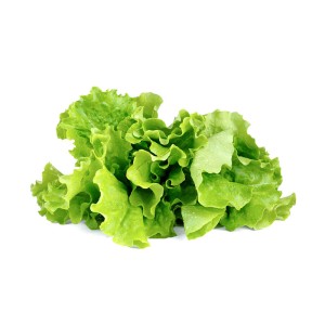 Click and Grow Kit Grow Anything - iServices®