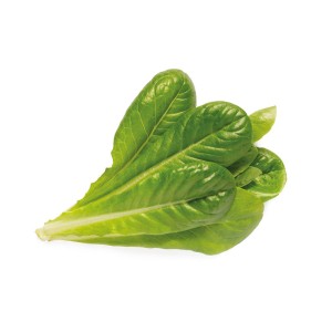 Click and Grow Kit Grow Anything - iServices®