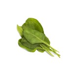 Click and Grow Kit Grow Anything - iServices®