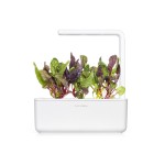 Click and Grow Kit Grow Anything - iServices®