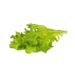 Click and Grow Kit Grow Anything - iServices®